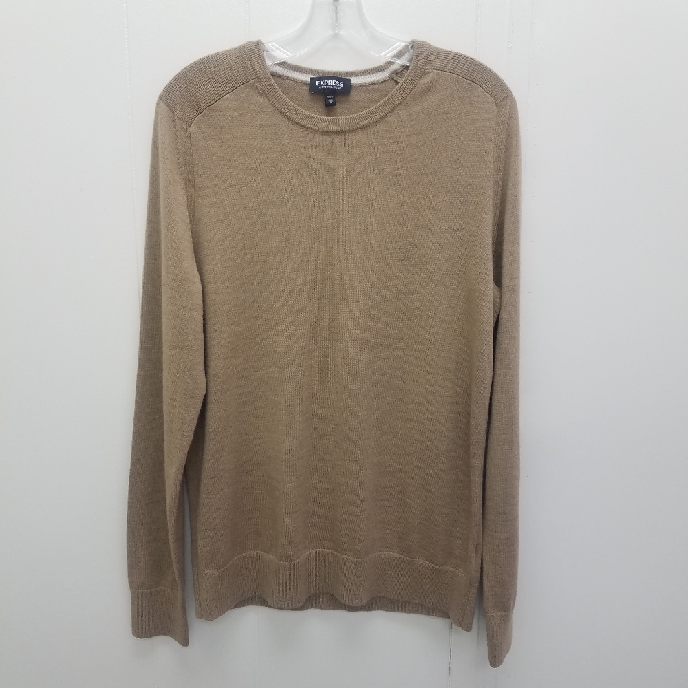 Express Merino Wool Blend V-Neck Sweater